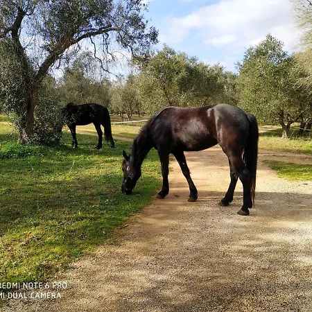 Farm stay Casale Del Forno Andrano