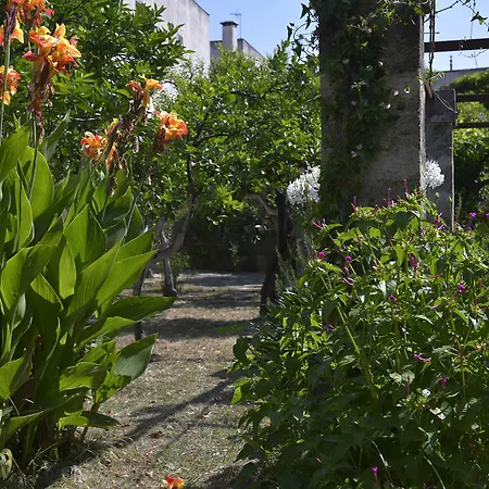 Farm stay Casale Del Forno