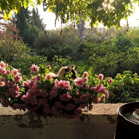 Farm stay Casale Del Forno *