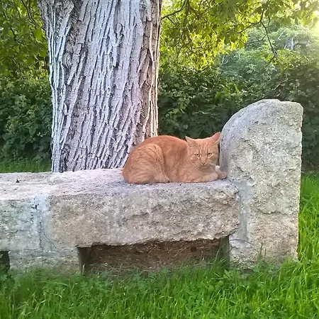 Casale Del Forno