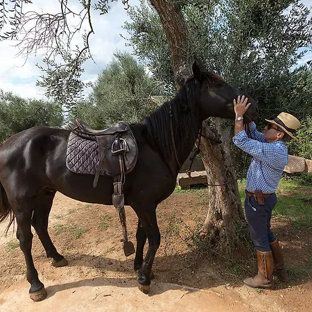 Casale Del Forno Farm stay