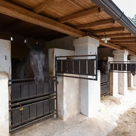 Casale Del Forno Andrano
