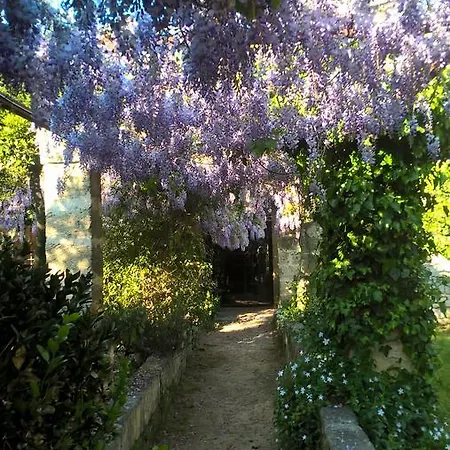 Casale Del Forno Farm stay *